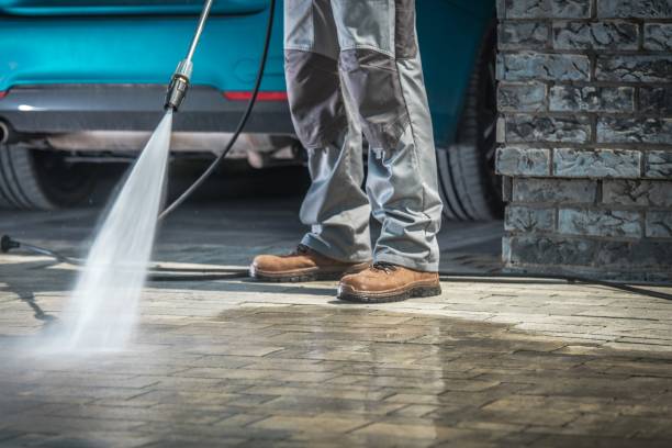 Best Roof Cleaning and Mildew Removal in Laguna Vista, TX
