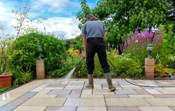 Best Brick and Stone Cleaning in Laguna Vista, TX