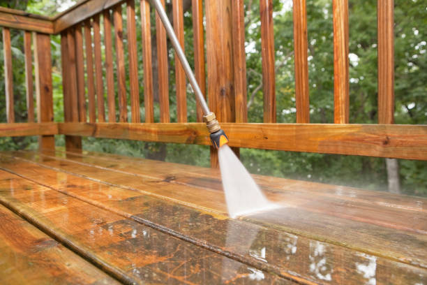 Best Fence Cleaning and Maintenance in Laguna Vista, TX